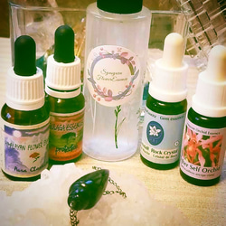 取り扱いエッセンス9 （ペガサス プロダクツ5） ペガサスプロダクツ お得な100㍉ 脳神経再生 発達障害 認知症