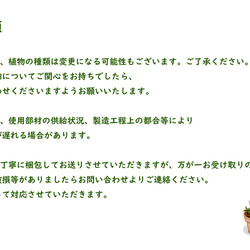 【多肉植物寄せ植えと鉢カバー2点セット】老舗バッグファクトリーが作る「さぼてんのふくろ」と多肉植物屋さんとのコラボ商品 8枚目の画像