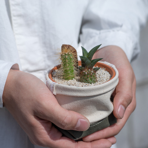 植木鉢の2点セット☆植木鉢の2点セット