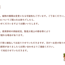 【サボテン寄せ植えと鉢カバー2点セット】バッグファクトリーが作る「さぼてんのふくろ」とサボテン屋さんのコラボ 13枚目の画像