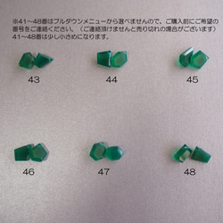  第15張的照片