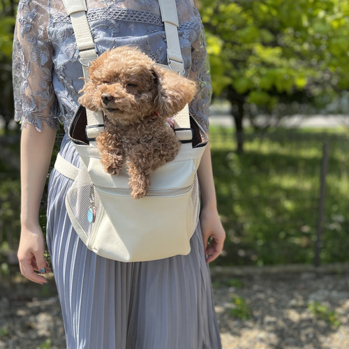【seven seas dog】小型犬用　キャリーバッグ