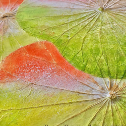 【一点物】オシャレでユニークな蓮の葉ハッピーアート: The beauty of lotus leaf. 6枚目の画像