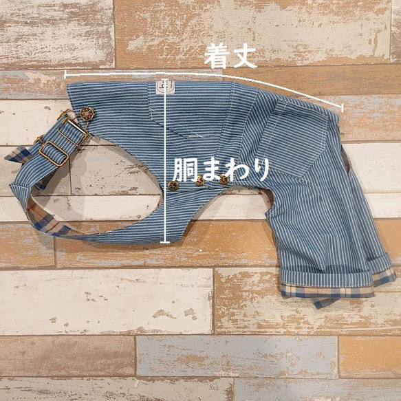 【送料無料】イタグレ服　ヒッコリーデニム オーバーオール No.01　IS・IM・ILサイズ 16枚目の画像