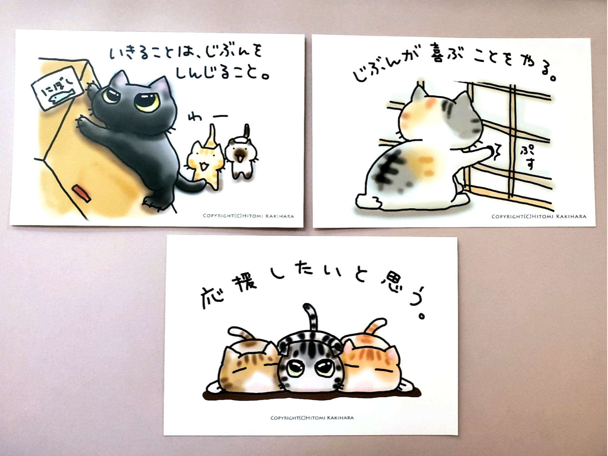 ねこパンツくん　　ポストカード