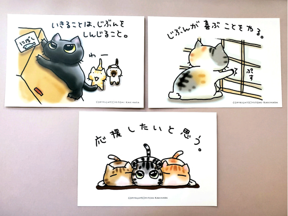 ねこパンツくん　　ポストカード mofusand展 ポストカード(にゃんぱんつ) | mofusandもふもふ