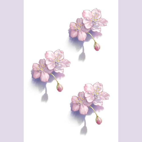桜タトゥーシール(オリジナルイラストによる) その他 桜タトゥーシール(オリジナルイラストによる) その他