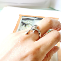 お目々がルビーコーンスネークの指輪 2枚目の画像