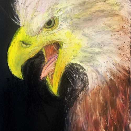鷹の絵　絵の具　絵画 鷹の絵 絵の具 絵画