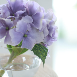 （水換え不要）紫陽花の丸ガラス花瓶挿し　パープル 5枚目の画像