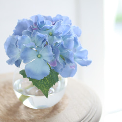 （水換え不要）紫陽花の丸ガラス花瓶挿し　ブルー 1枚目の画像