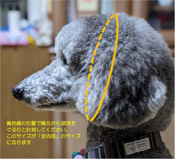 ウイペット、イタグレなど首の細い犬種用　マーティンゲールタイプ首輪（内周２４ｃｍ　全内周２６ｃｍ） 6枚目の画像