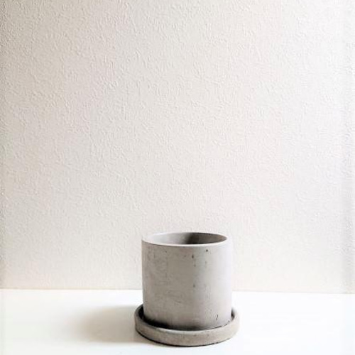 現品　アロエ　テヌイオール　陶器鉢　観葉植物　多肉植物　インテリアグリーン 現品 アロエ テヌイオール 陶器鉢 ポ1番 観葉植物 多肉植物