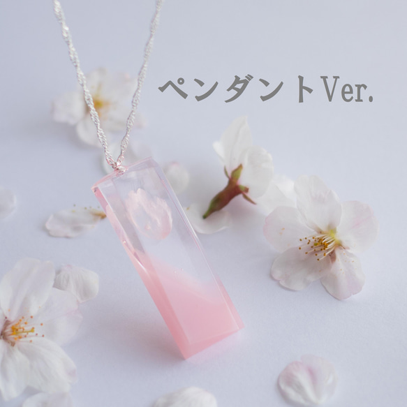 桜のペンダント【桜色メモリーズMk.Ⅱペンダント&チャームVer.】本物のソメイヨシノを使用 3枚目の画像