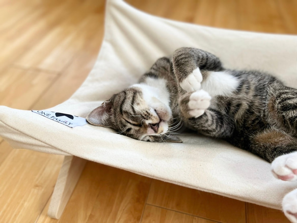 【リアルダウン使用】 ハンモックタイプの 羽毛ペットベッド　猫用　ダウン使用 2枚目の画像