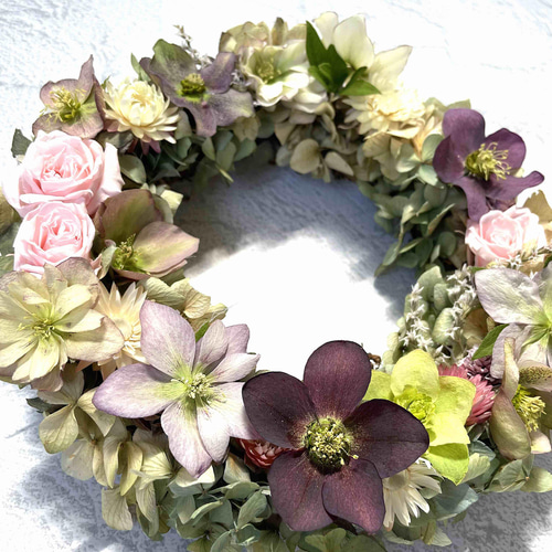 母の日クリスマスローズのリース Lサイズ ドライフラワー Flower