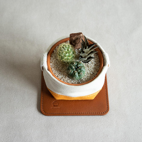 サボテン寄せ植えと鉢カバーと名入れ可能レザーコースターの3点セット