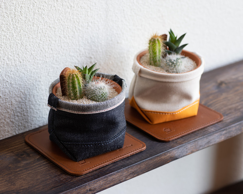 サボテン　3つセット 楽天市場】サボテンで造るロックガーデンセット 3品種 ［Sサイズ