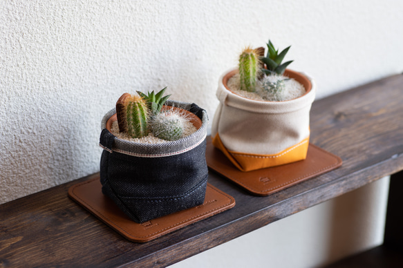 サボテン寄せ植えと鉢カバーと名入れ可能レザーコースターの3点セット