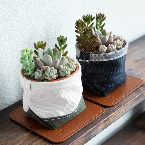 多肉植物寄せ植えと鉢カバーと名入れ可能レザーコースターの3点セット  