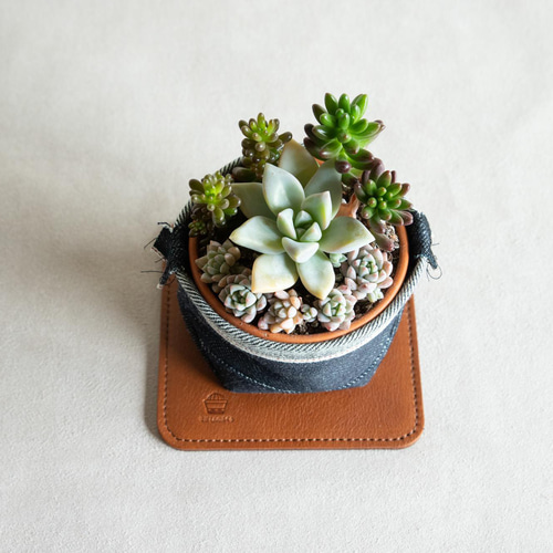多肉植物寄せ植えと鉢カバーと名入れ可能レザーコースターの3点セット  