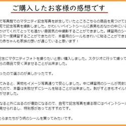 マタニティフォトシール ベリーペイント ボディペイント タトゥーシール 練習用シール付 I 6枚目の画像