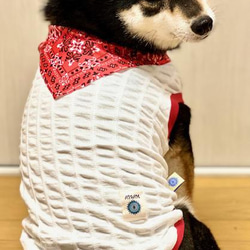 犬服　可愛いぷくぷく綿100%バンダナ風タンクトップ 6枚目の画像