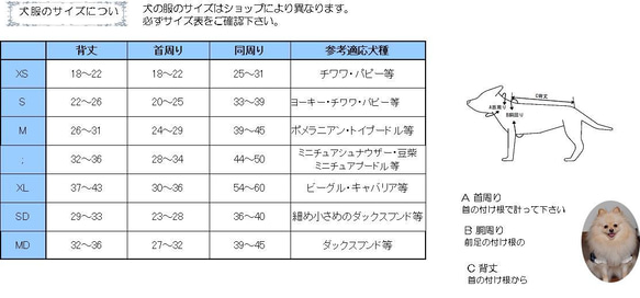  第8張的照片