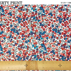 リバティ【ラミネート】ウィルトシャー　赤青（30cm×50cm）カット済　ビニコ　布　生地　LIBERTY 4枚目の画像