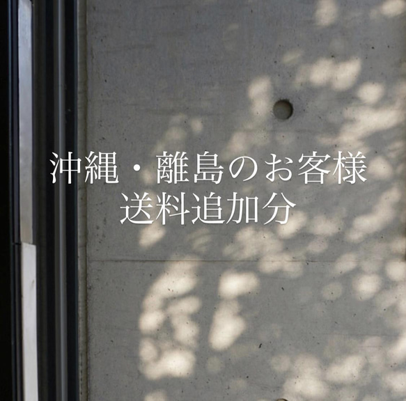  第1張的照片