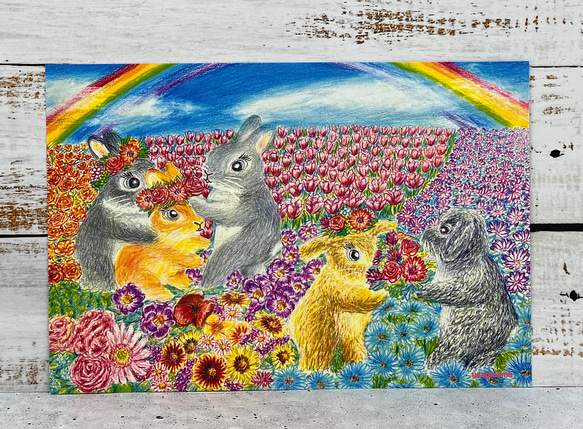 うさぎのポストカード お花畑のうさぎちゃん達同柄ポストカード3枚  