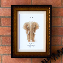 【手描き】　彩色 鉛筆画　No.16   Elephant  African elephant　《額装》 1枚目の画像