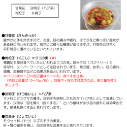 【母の日5000円セット】トルコチャイティーグラスSET・送料無料 20枚目の画像