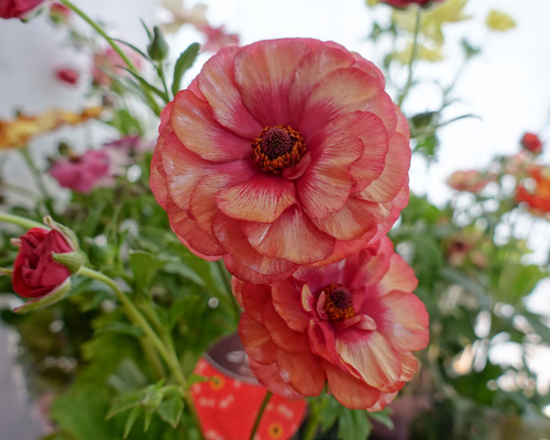 7a7dde1ceb347e49cfbf881c2180da