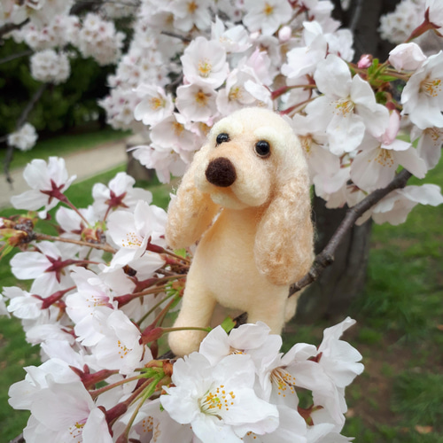 アメリカンコッカースパニエル 羊毛フェルト manahata 通販 13680852