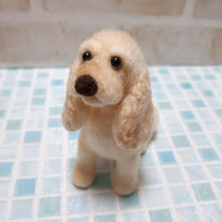 アメリカンコッカースパニエル 羊毛フェルト manahata 通販 13680852