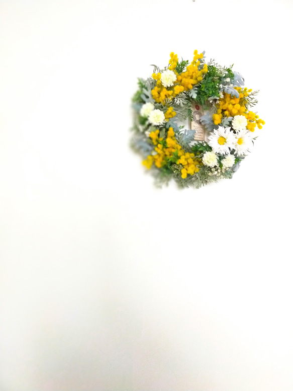 30cm 幸せミモザのふんわり春リース  ダスティミラー 6枚目の画像