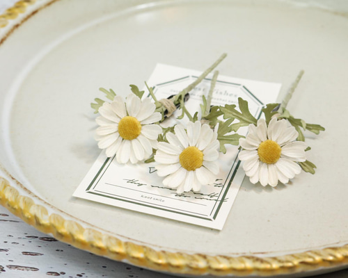 d258d2d8c89b12fe5e06feaa7ab0c2