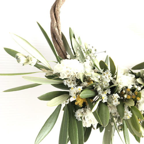 ドライフラワーオリーブリース リース Rest garden 通販 13684092