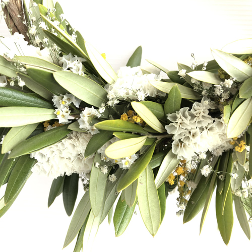 ドライフラワーオリーブリース リース Rest garden 通販 13684092