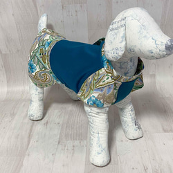犬服　フォーマルドレス風ワンピース　リボンつきのフレンチ袖風ワンピース rag-22 5枚目の画像