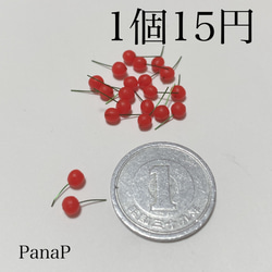 プロフ必読です*\(^^)/*さくらんぼ様 プロフ必読です*\(^^)/*さくらんぼ様