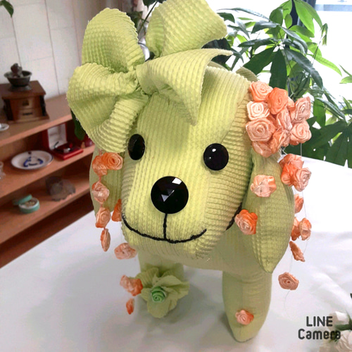 きなワンAKEMI.ORIGINAL AZONE INTERNATIONAL::えっくす☆きゅーと