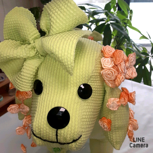 きなワンAKEMI.ORIGINAL