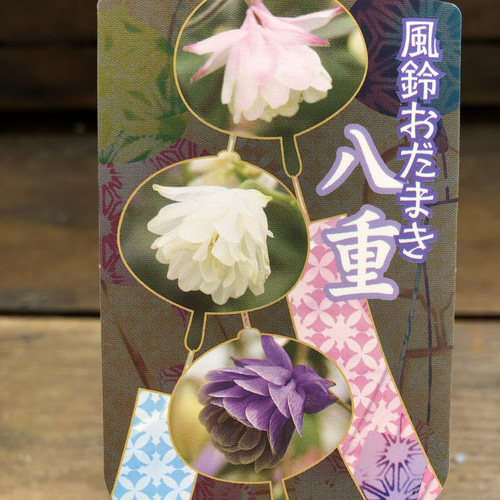 ぴんきー専用　花材他 ぴんきー専用 花材他 - メルカリ