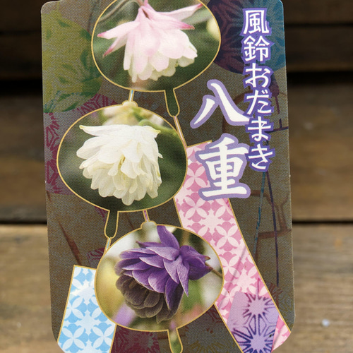 花咲くいろは　ウインドブレーカー蓄光 cg51064877_600x600_crop_center