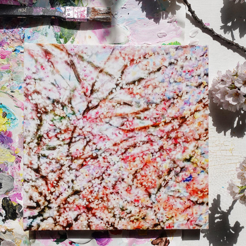 22×27㎝「朝の桜2025.1-1」油彩・原画・F3