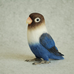 オカメインコ ノーマル オス 1707201 羊毛フェルト Primary Color