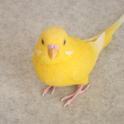 ワカケホンセイインコ 1807152 羊毛フェルト Primary Color