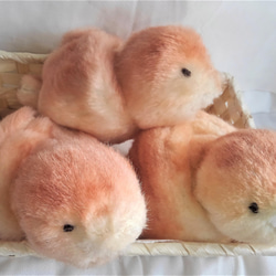 受注生産・メガネグマのぬいぐるみ ぬいぐるみ 風間翔 通販 14512943